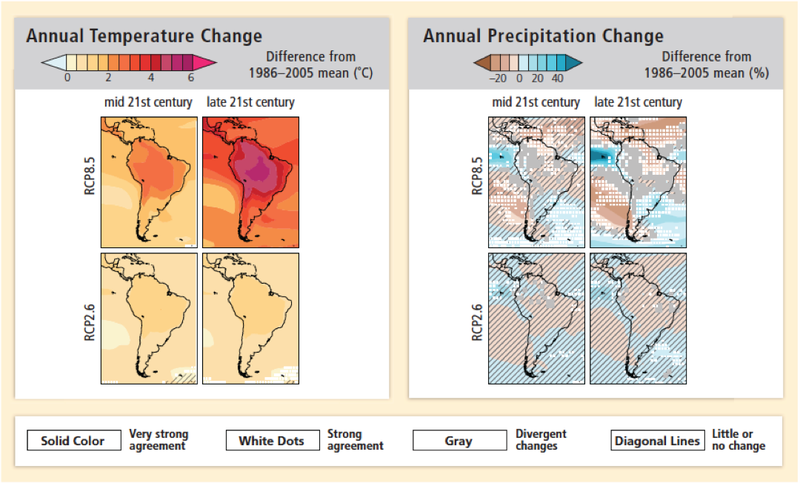 Illustration for article titled Earth's Tropical Rainforests Could Look Completely Different By the End of the Century